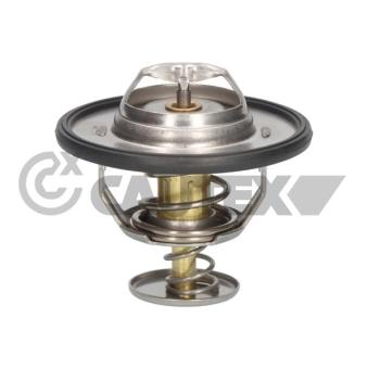 Thermostat, liquide de refroidissement CAUTEX OEM 19300PR7A01