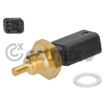 Sonde de température, liquide de refroidissement CAUTEX OEM 91159949