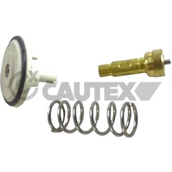 Thermostat, liquide de refroidissement CAUTEX OEM 03C121110A