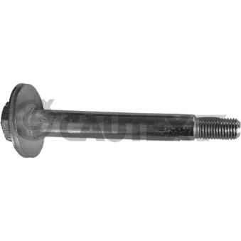 Triangle ou bras de suspension (train arrière) CAUTEX OEM MB911314