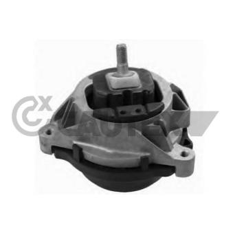 Support moteur CAUTEX OEM 22116854251