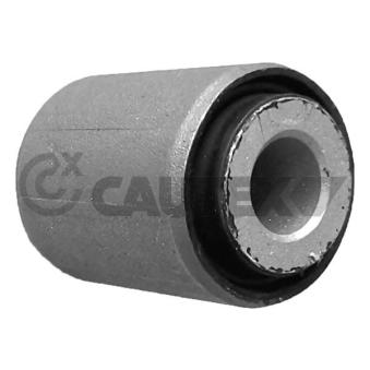 Suspension, corps de l'essieu CAUTEX OEM 1643500053