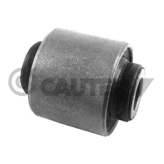 Suspension, corps de l'essieu CAUTEX 759491