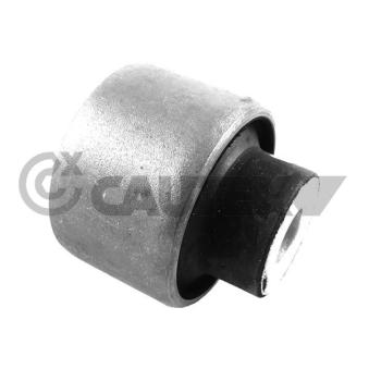 Suspension, corps de l'essieu CAUTEX 759596 pour AUDI A4 1.9 TDI - 116cv