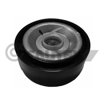 Poulie renvoi/transmission, courroie trapézoïdale à nervures CAUTEX OEM 119233042R Poulie renvoi/transmission, courroie trapézoïdale à nervures CAUTEX OEM 119233042R