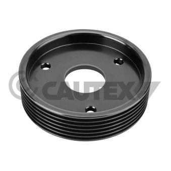 Poulie, pompe de direction assistée CAUTEX OEM 7700875328