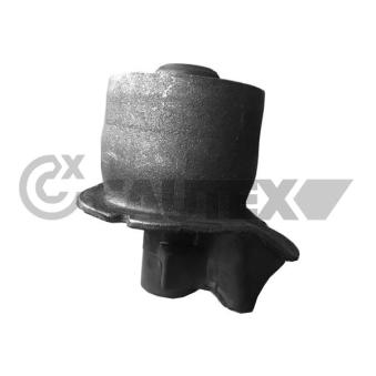 Suspension, corps de l'essieu CAUTEX 759722