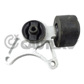 Suspension, Différentiel arrière droit CAUTEX OEM KHC500080