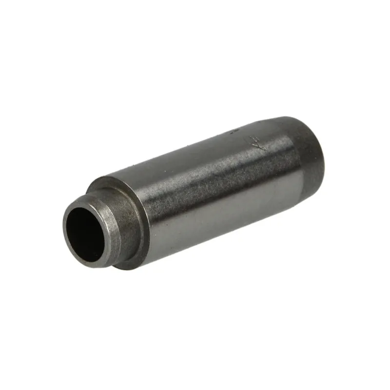 Guide de soupape AE VAG96124 - Visuel 1