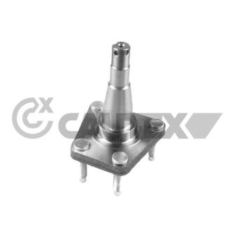 Moyeu de roue arrière CAUTEX 760294