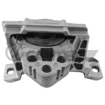 Support moteur CAUTEX OEM 2111961 Support moteur CAUTEX OEM 2111961