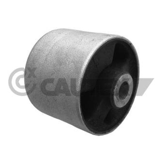 Silent bloc de l'essieu / berceau CAUTEX OEM RGX500201