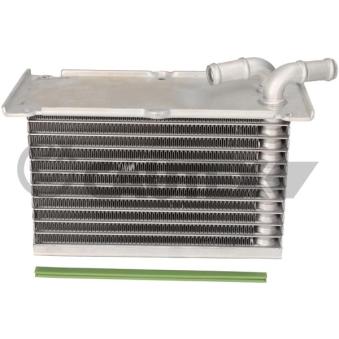 Radiateur d'huile CAUTEX OEM 03F145749C
