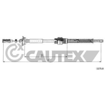 Câble d'accélération CAUTEX OEM 1315770080