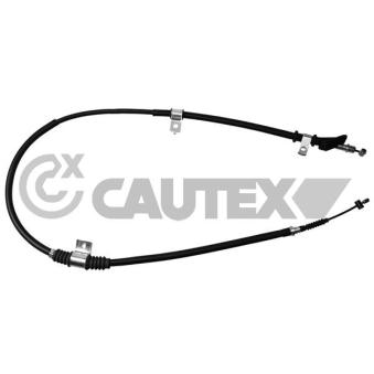 Tirette à câble, frein de stationnement CAUTEX OEM 5976029300