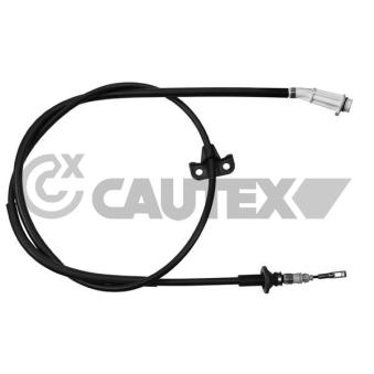 Tirette à câble, frein de stationnement CAUTEX OEM 31257680