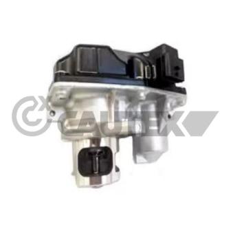 Vanne EGR CAUTEX OEM 6261400260