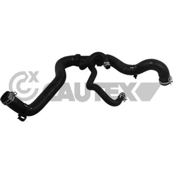 Durite de radiateur CAUTEX 764638