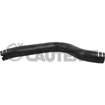 Durite de radiateur CAUTEX [765010]