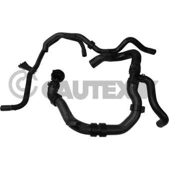 Durite de radiateur CAUTEX [765163]