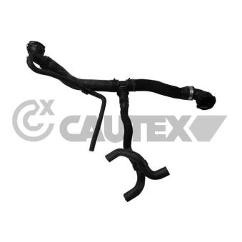 Durite de radiateur CAUTEX [765177]