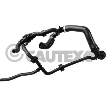 Durite de radiateur CAUTEX [765180]