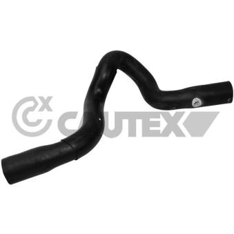 Durite de radiateur CAUTEX [765184]