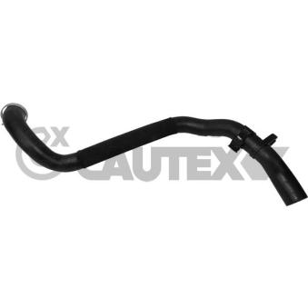 Durite de radiateur CAUTEX [765301]