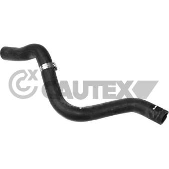 Durite de radiateur CAUTEX [765326]