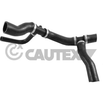 Durite de radiateur CAUTEX [765471]