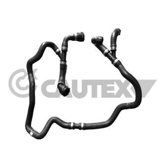 Durite de radiateur CAUTEX [765638]