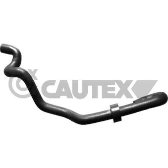 Durite de radiateur CAUTEX 765639