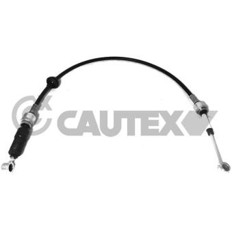 Tirette à câble, boîte de vitesse manuelle CAUTEX OEM 1329700080