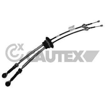 Tirette à câble, boîte de vitesse manuelle CAUTEX OEM 1499328080