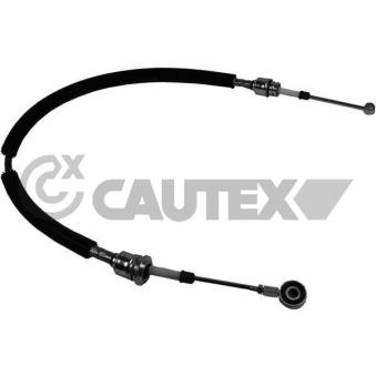 Tirette à câble, boîte de vitesse manuelle CAUTEX OEM 55199397