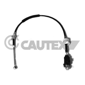 Tirette à câble, boîte de vitesse manuelle CAUTEX OEM 55199873