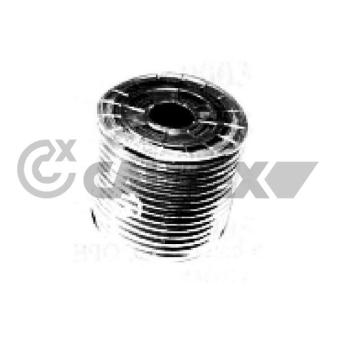 Durite de radiateur CAUTEX 766454