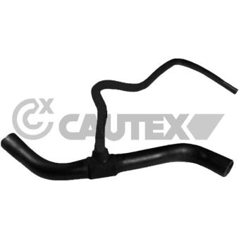 Durite de radiateur CAUTEX 766567