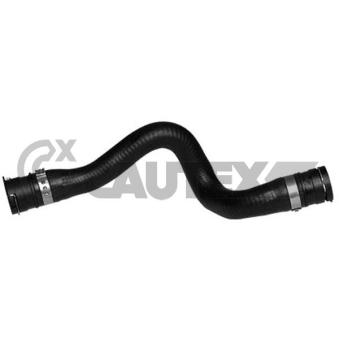 Durite de radiateur CAUTEX 767151