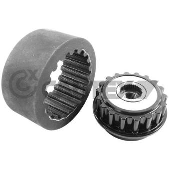 Poulie roue libre, alternateur CAUTEX OEM 070903327D