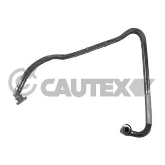Tuyau, ventilation de carter-moteur CAUTEX OEM 078103213B