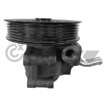 Pompe hydraulique, direction CAUTEX OEM 3600129