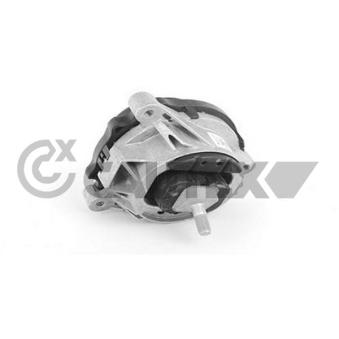 Support moteur CAUTEX OEM 22116867441