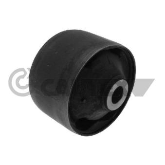 Suspension, Différentiel CAUTEX OEM 2756266J20