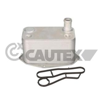 Radiateur d'huile CAUTEX 769477
