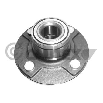 Moyeu de roue arrière CAUTEX OEM 432009F500 Moyeu de roue arrière CAUTEX OEM 432009F500