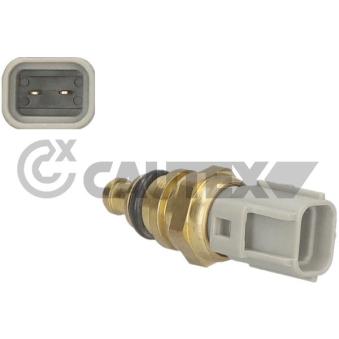 Sonde de température, liquide de refroidissement CAUTEX 769535