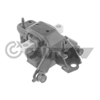 Support moteur arrière gauche CAUTEX OEM 6Q0199555BA Support moteur arrière gauche CAUTEX OEM 6Q0199555BA