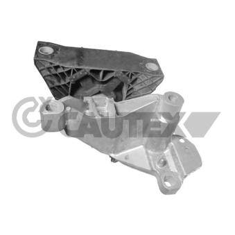 Support moteur CAUTEX [769767]