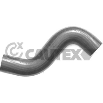 Durite de radiateur CAUTEX 769891